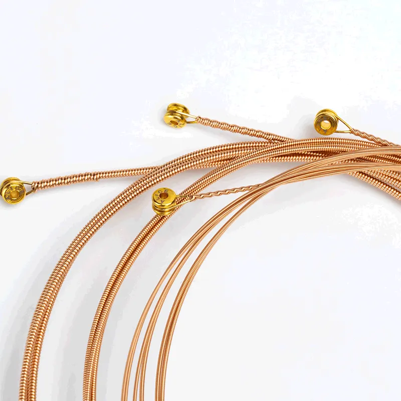 Acoustic String Alice AW486